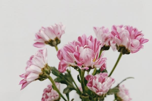 1927年五行属什么 丁卯年五行属性