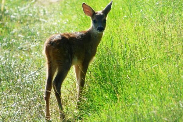 2023年4月21日可以入宅吗 是吉祥的日子吗