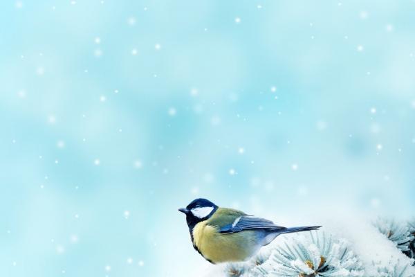 天蝎座高考运势2023 考试压力大吗