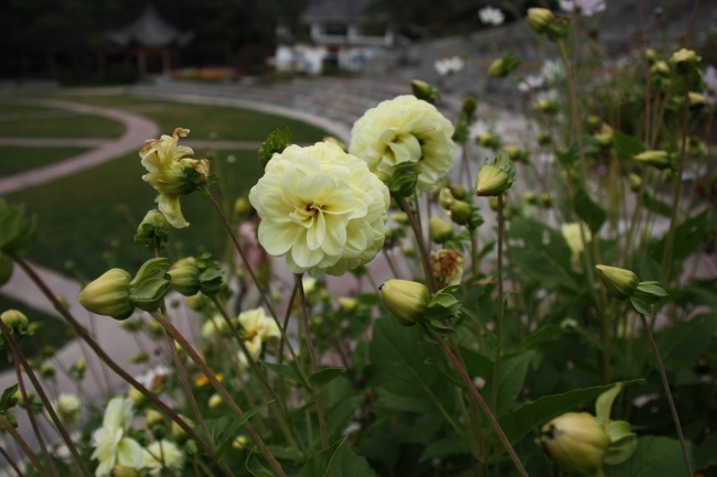 2023年4月27日可以搬家吗 今日宜搬家吗