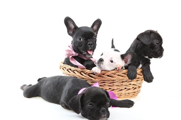 2023年4月19日宜安门吗 是安门黄道吉日吗