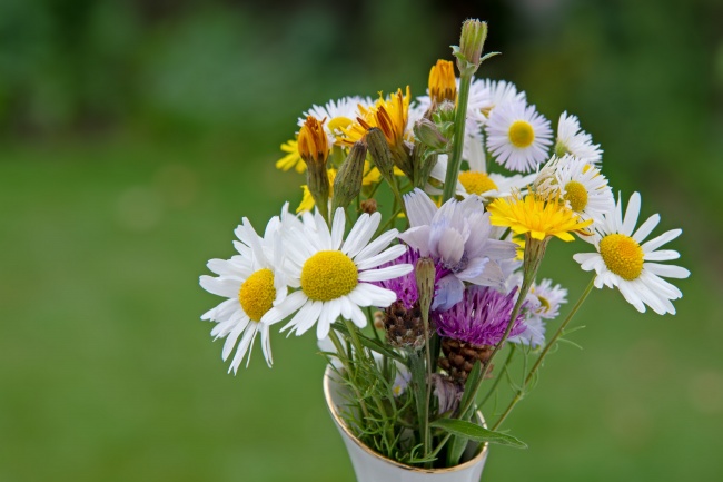 上嘴唇上翘面相解析 上唇上翘是不是命不好