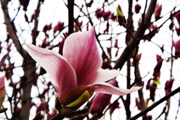 2023年天蝎男爱情宿命分析 毫无底线纵容