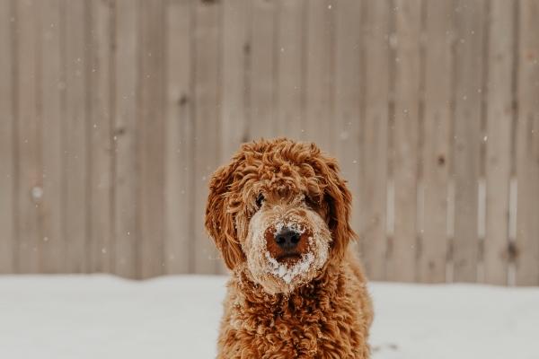 2023年巨蟹男爱情宿命分析 迎接美好的爱情