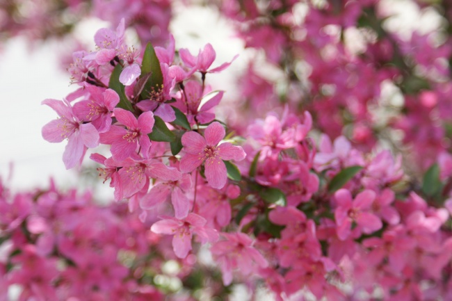 2023年4月21日五行穿衣分享 穿什么颜色衣服适合