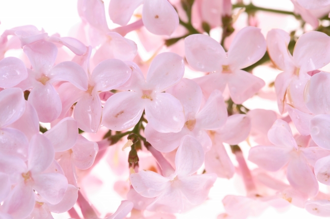 2023年4月24日搬家好吗 日子吉利吗