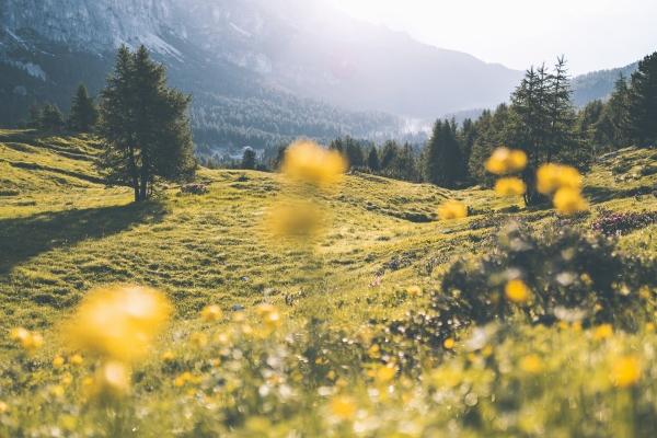 2023年4月7日签约好吗 适合签约吗