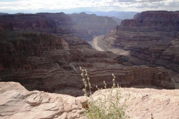 2023年6月水瓶座高考运势 考试运一般