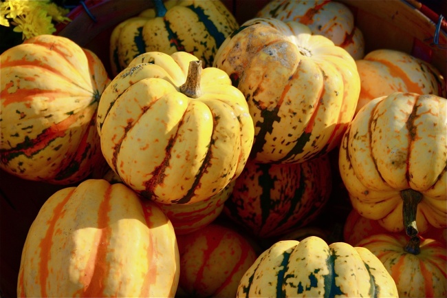 鬼节千万不能做六件事，鬼节不能做什么