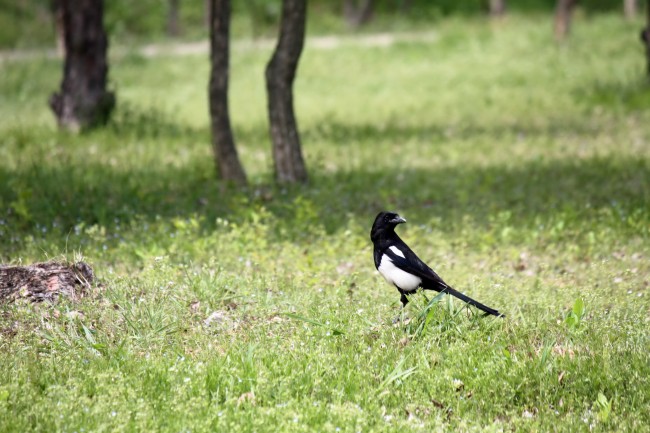 唐立淇 【4.06日运】处女:有机会得到发展,天蝎:以退为进