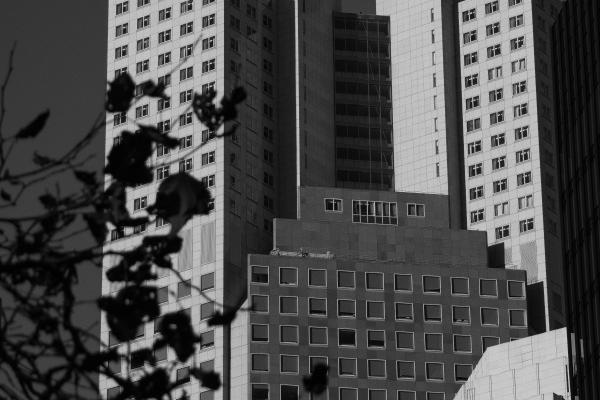 2023年4月28日领证好吗 能不能领结婚证