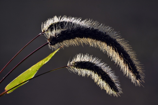 9到11点出生是什么时辰 巳时出生宝宝好不好