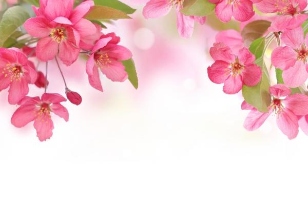 2023年4月23日财神在哪个方位 今日财神方位查询