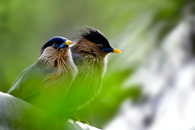 2023年4月26日签约好吗 是好日子吗