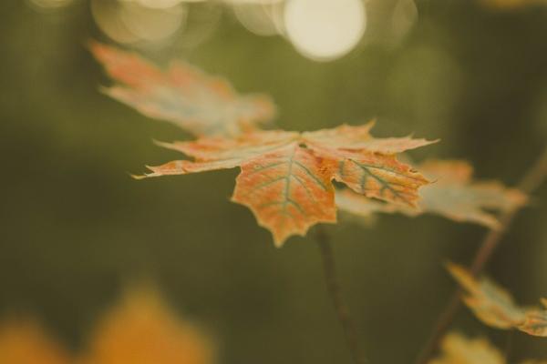 2023年4月30日吉时查询 旺运势时辰查询表