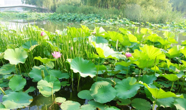 2023年4月25日出行好吗 适合出行吗