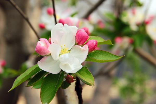 2023年4月13日安门好不好 今日安门吉时查询
