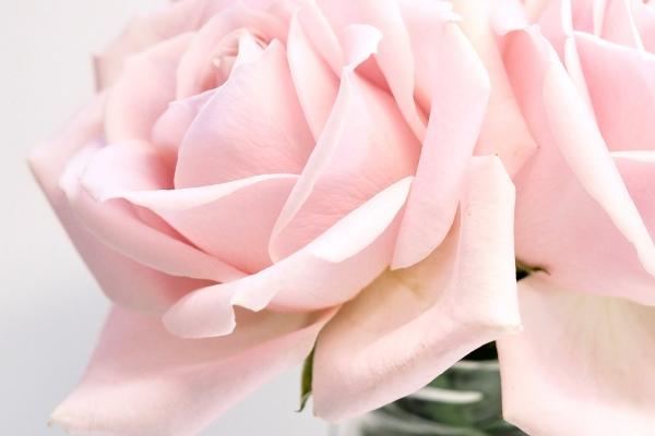 2023年4月27日提车好吗 日子吉利吗