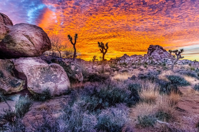 成立公司名字好听 好听有创意的公司名称