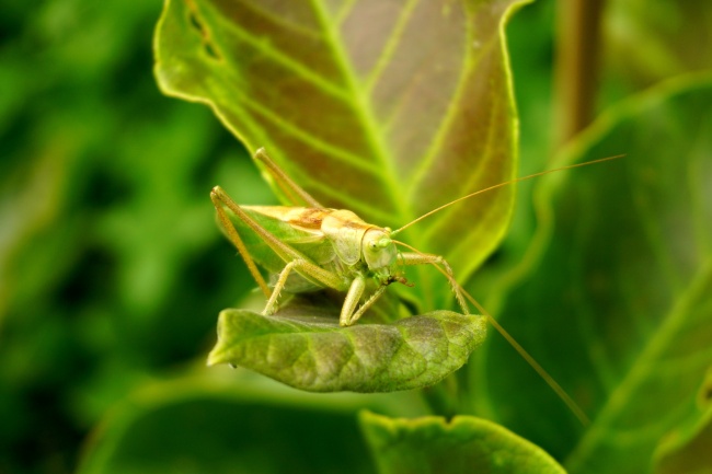 2023年4月27日开业好吗 宜开业吗