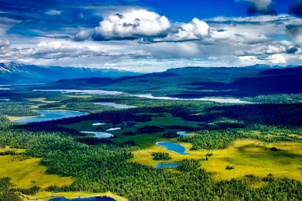 艾菲尔 四月春风拂面！【霉运远离】的星座点名