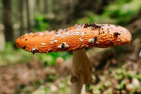 2023年4月27日出行好吗 是出门的好日子吗