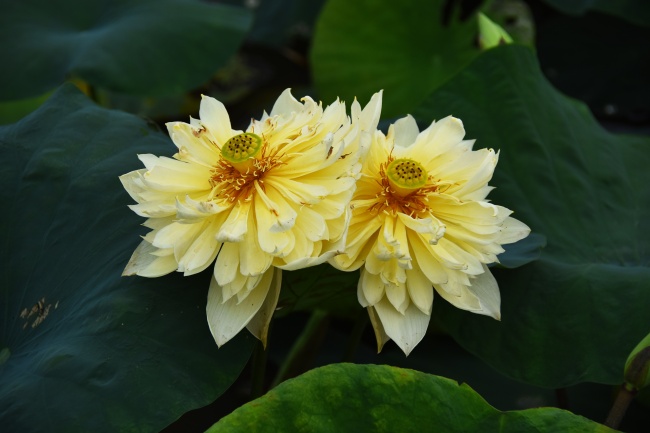 2023年4月24日吉时是几点 哪个时辰最吉利