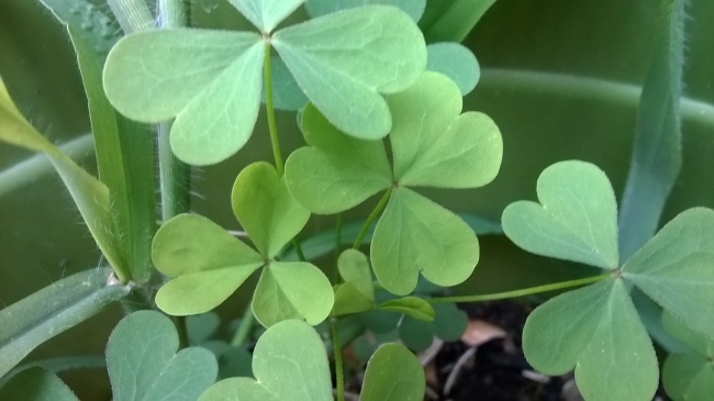 2023年4月30日签约好吗 签约吉时查询