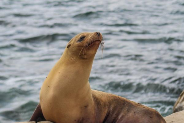 2023年4月25日搬家好不好 适合入住新房吗