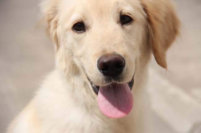 2023年4月27日入宅日怎么样 可以入宅进屋吗