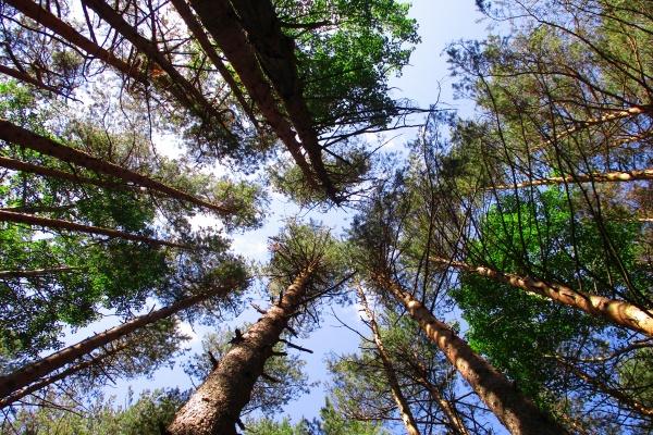 水瓶座高考运势2023 考试运势比较一般