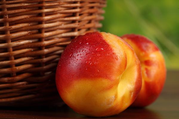 苏珊米勒 12星座今日运势3.31