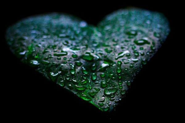 2023年6月双鱼座高考运势 考试运势很好