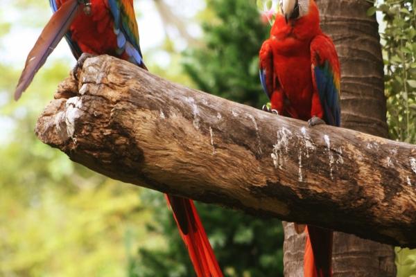 2023年4月29日出行好吗 可以出门吗