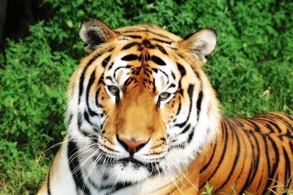 荣华富贵的出生时辰 一生享福不断