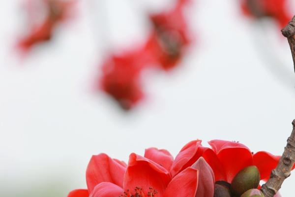 几号出生双鱼最笨，双鱼座最差的出生时间