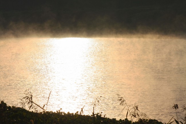 2023年6月狮子座高考运势 学业发展方向揭秘