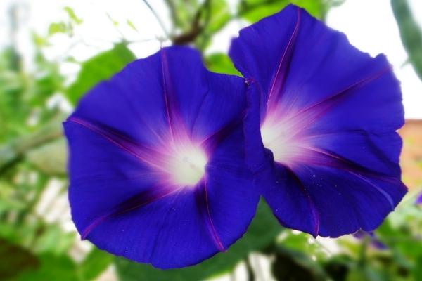 端午节可以剪头发吗，端午节哪些事情不能做