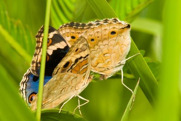 2023年4月22日出门好不好 出门怎么样