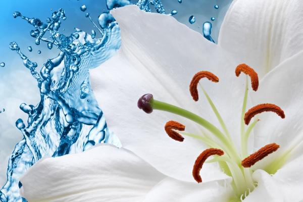 2023年天秤座太惨了，天秤座2023年整体运势怎么样