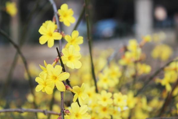 2023年4月22日财神方位 求财的方向一览