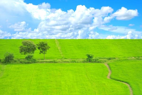 水瓶座狗都不谈是什么梗  原因有三