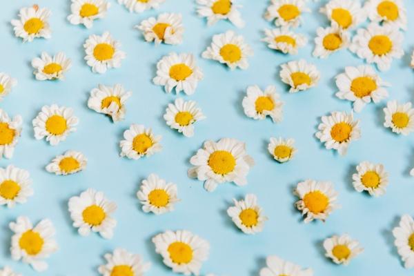 2023年4月26日五行穿衣搭配 穿什么颜色衣服适合