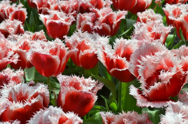 第一星运 小易占星2023年周运05.01-05.07