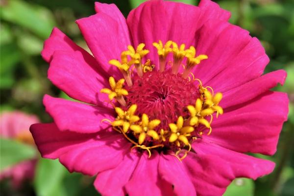 2023年双鱼男孽缘星座是谁 相爱相杀的虐缘星座