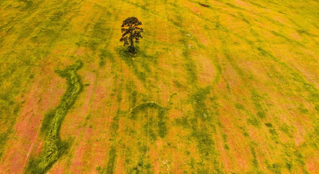 2023年白羊女感情劫是谁  看似合适却不合适