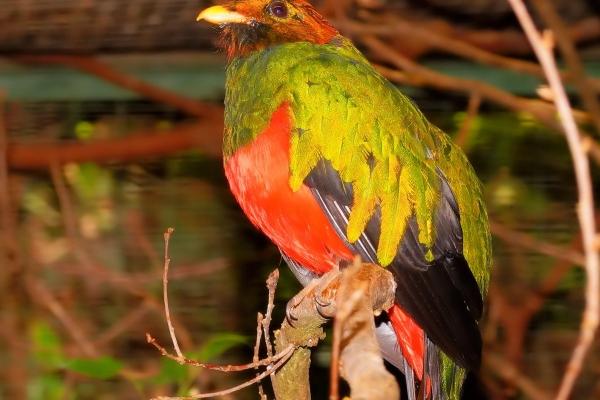 闹闹女巫 12星座今日运势:狮子充实精神生活 天蝎提高个人品味