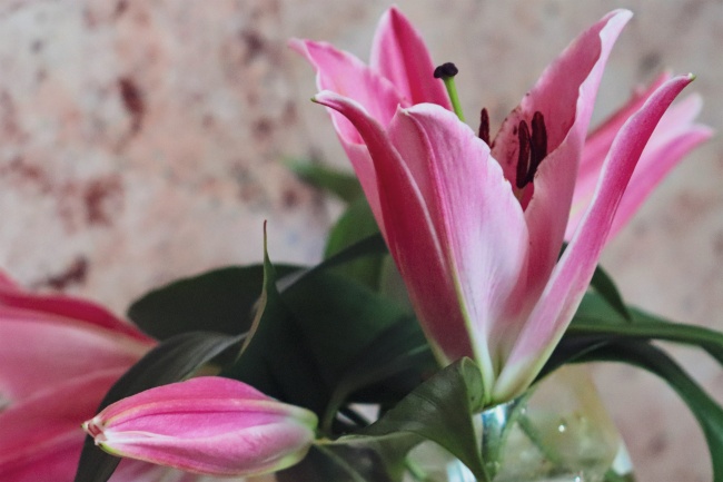 出生时辰美貌的最多 什么时辰出生宝宝最好看