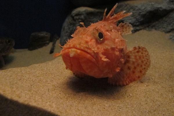 2023年5月11日动土好吗 是动土的好日子吗