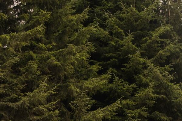 2023年5月2日搬家日子好不好 可不可以搬迁